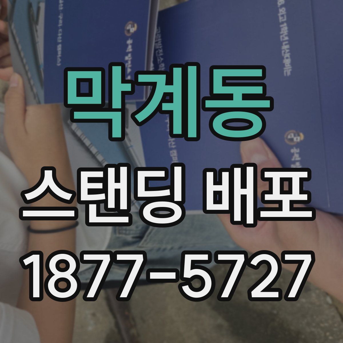 막계동 스탠딩 배포