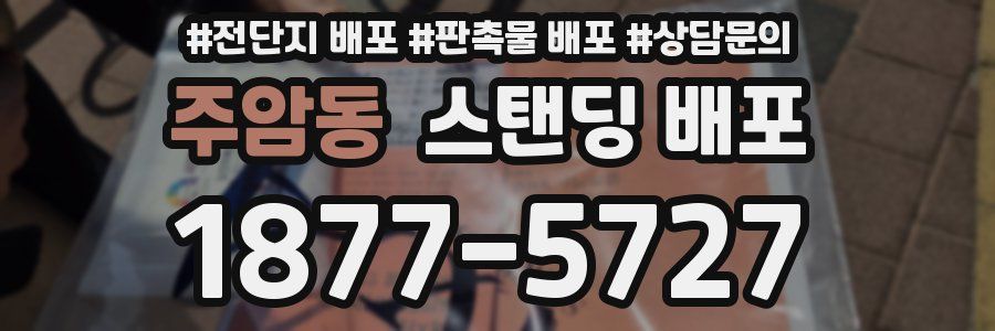 주암동 스탠딩 배포