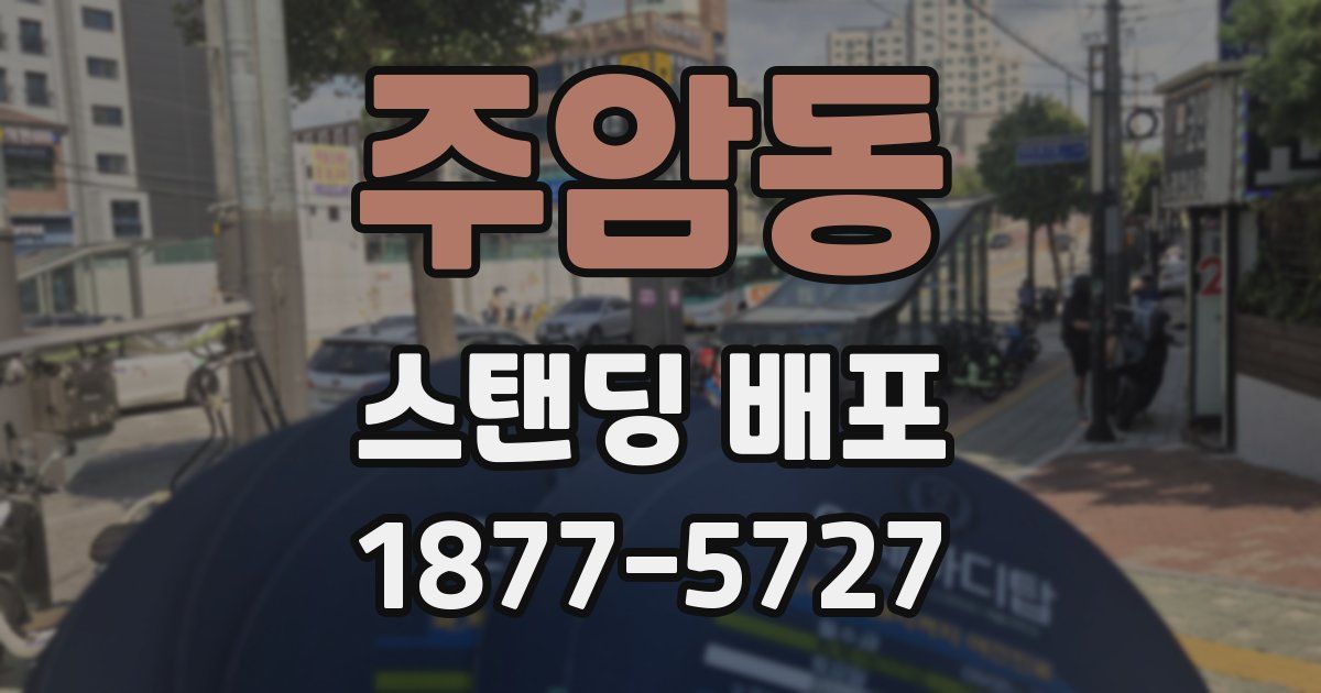 주암동 스탠딩 배포