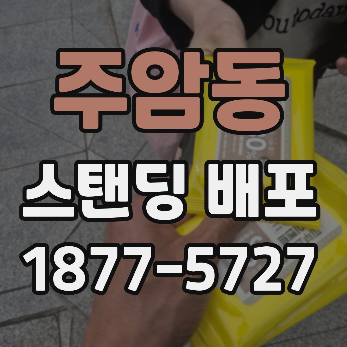 주암동 스탠딩 배포
