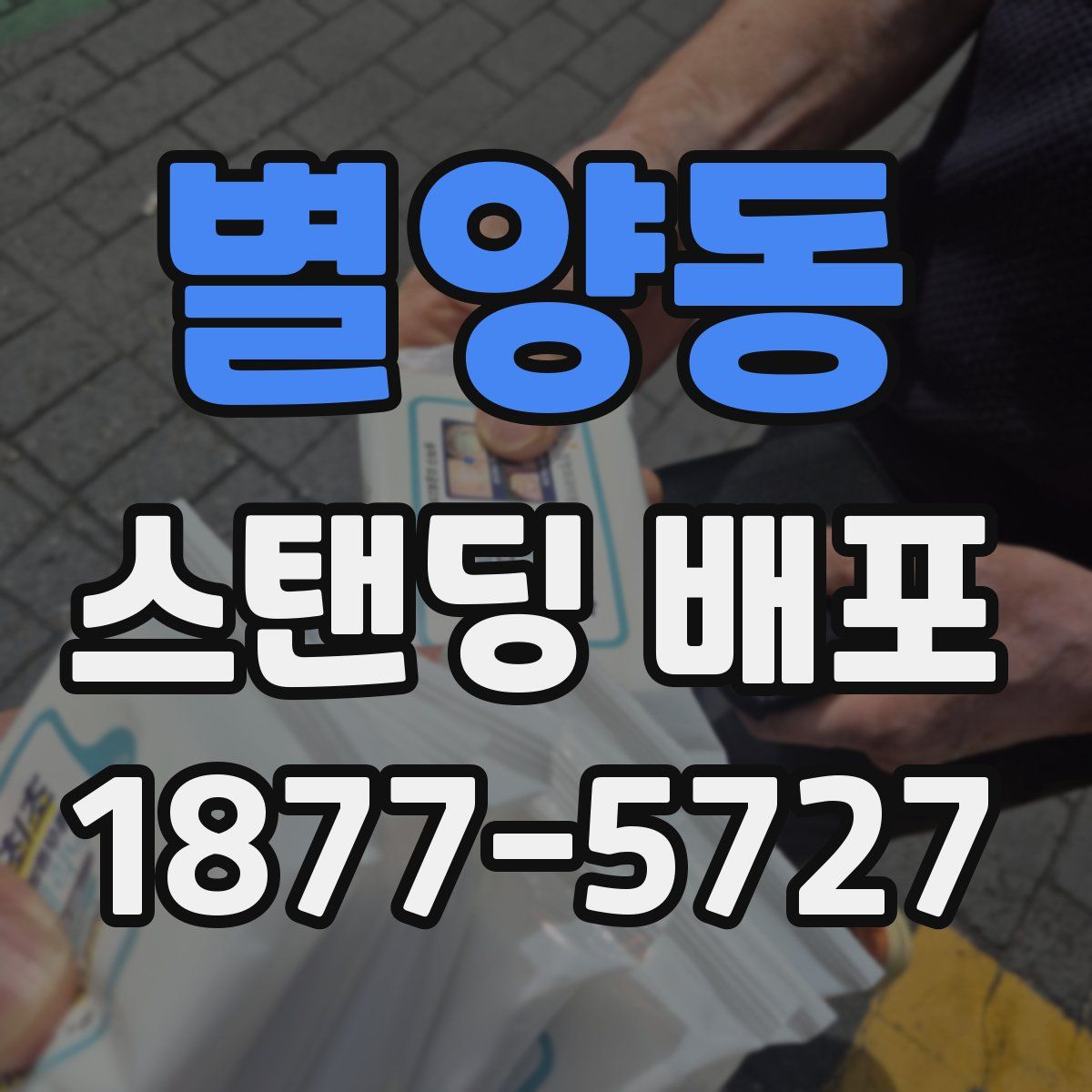 별양동 스탠딩 배포