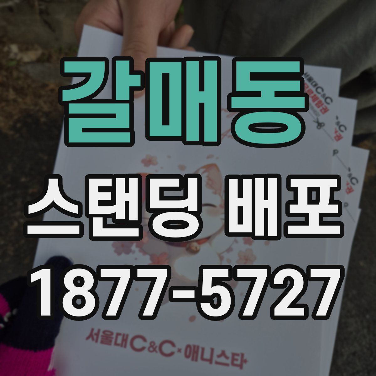 갈매동 스탠딩 배포