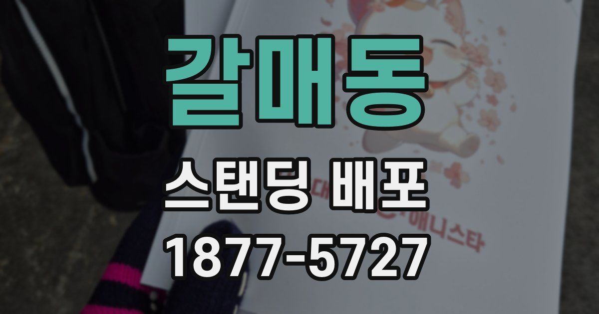 갈매동 스탠딩 배포