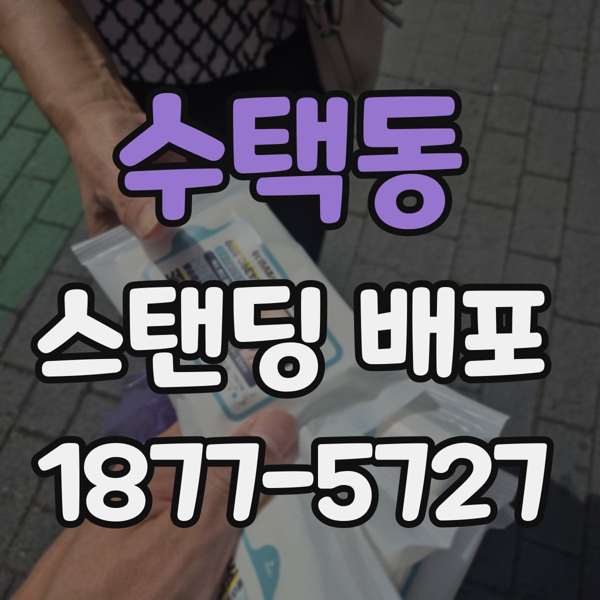 수택동 스탠딩 배포
