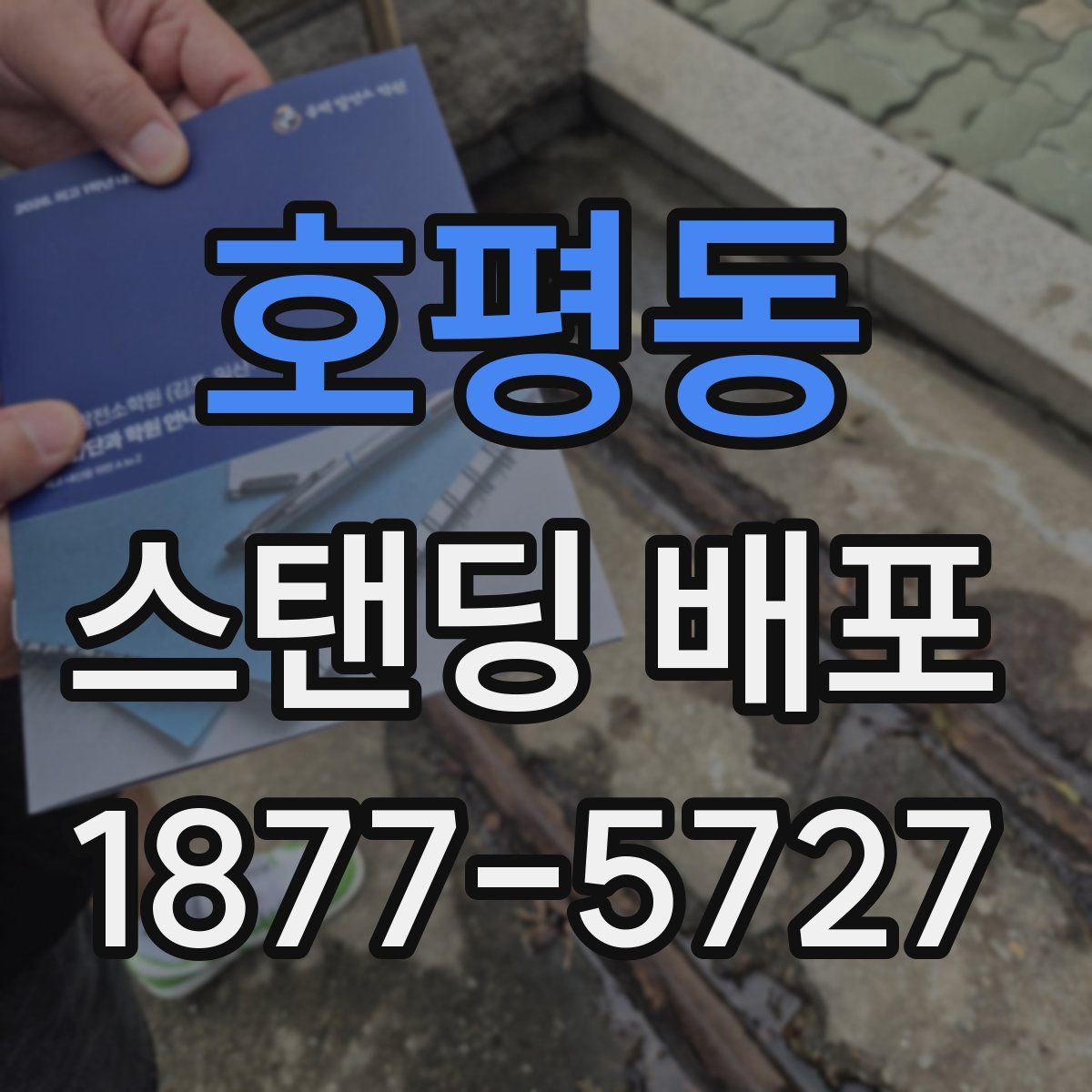 호평동 스탠딩 배포