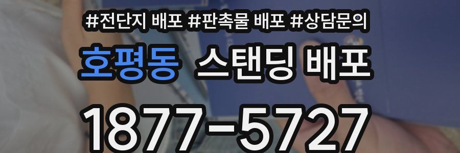 호평동 스탠딩 배포
