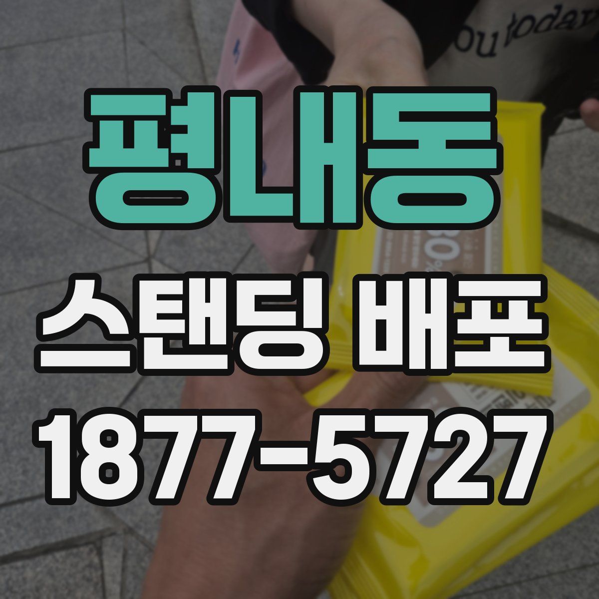 평내동 스탠딩 배포