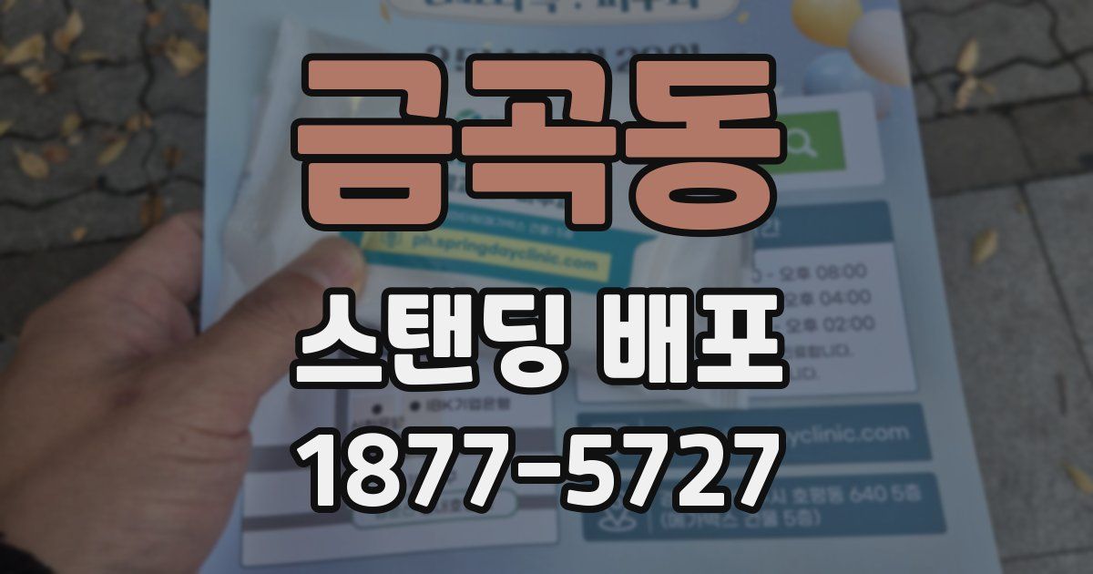금곡동 스탠딩 배포