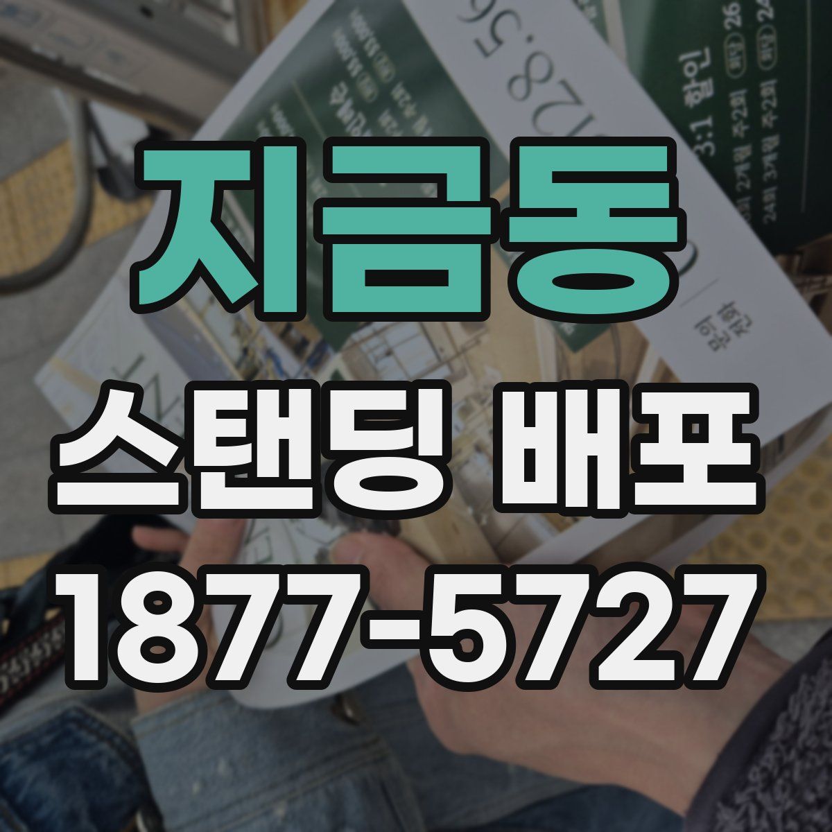 지금동 스탠딩 배포