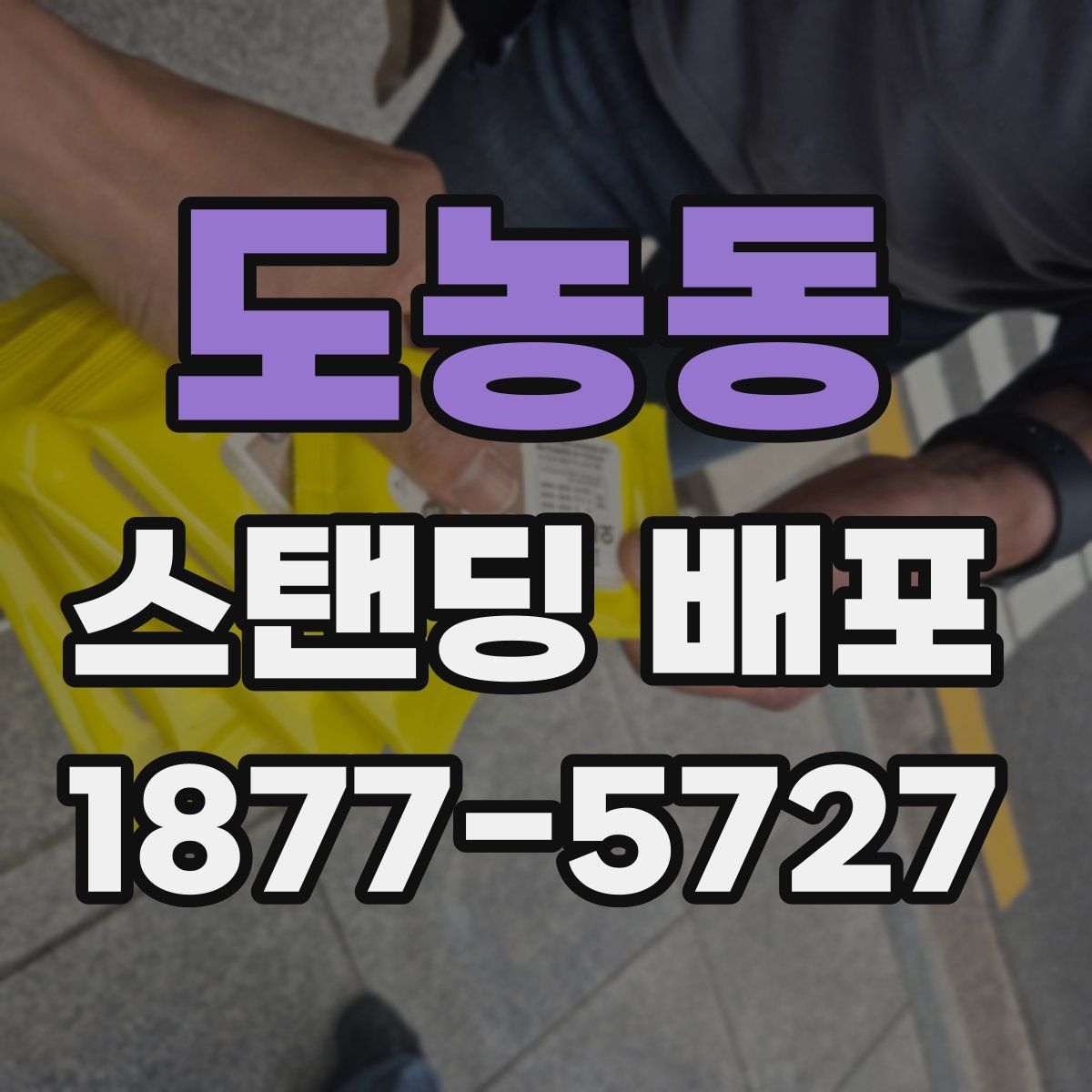 도농동 스탠딩 배포