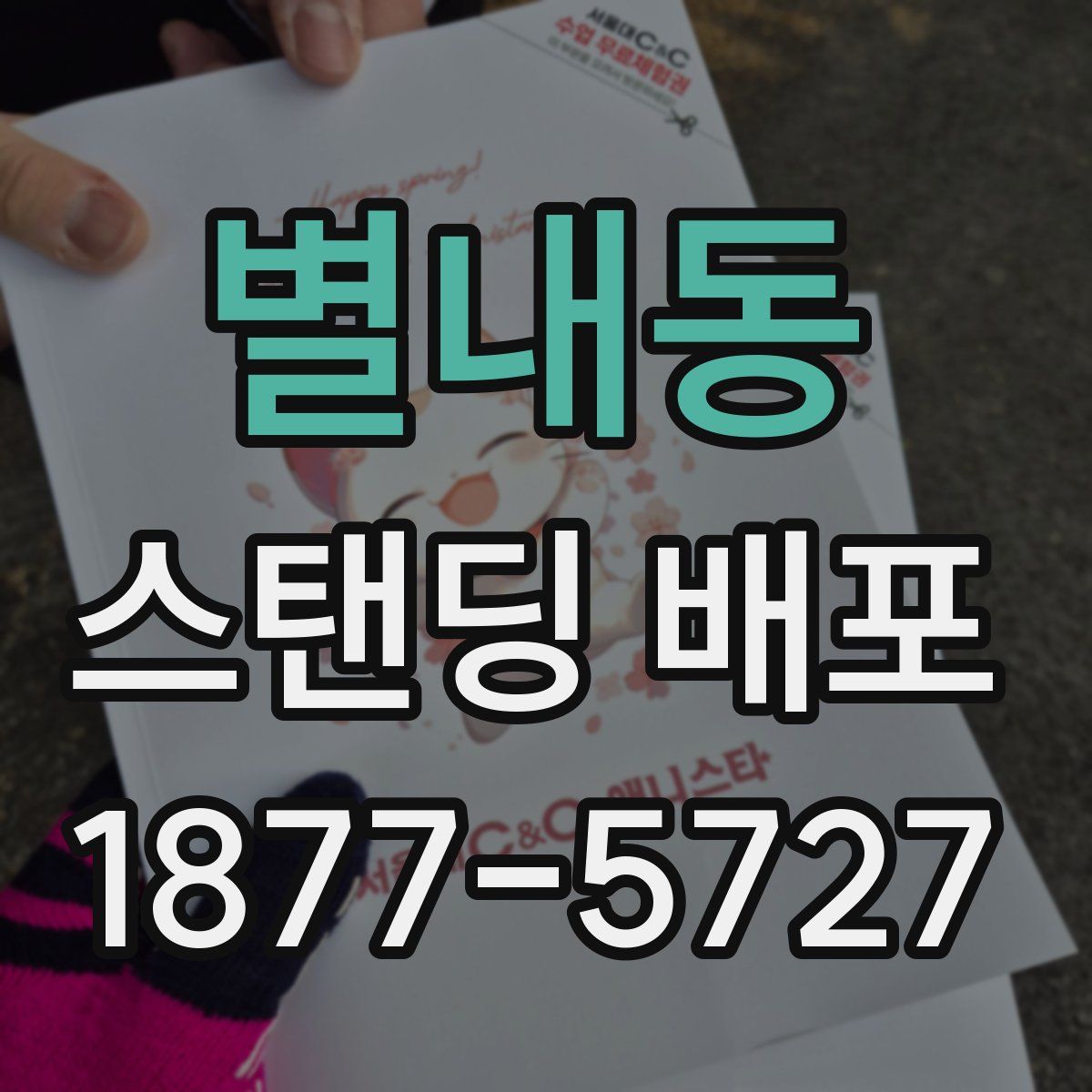 별내동 스탠딩 배포