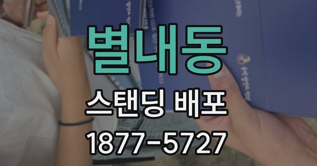 별내동 스탠딩 배포