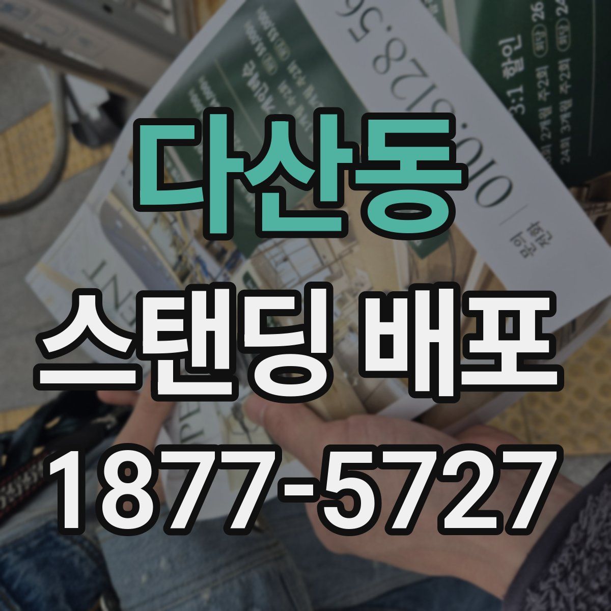 다산동 스탠딩 배포