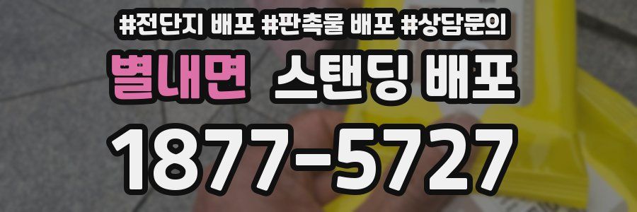 별내면 스탠딩 배포
