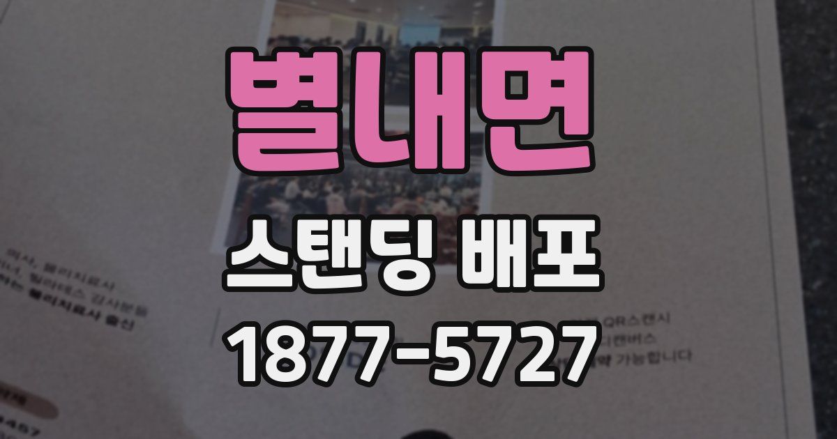 별내면 스탠딩 배포