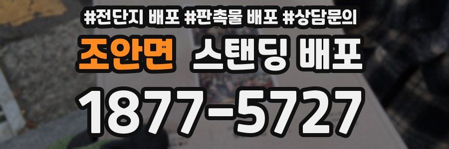 조안면 스탠딩 배포