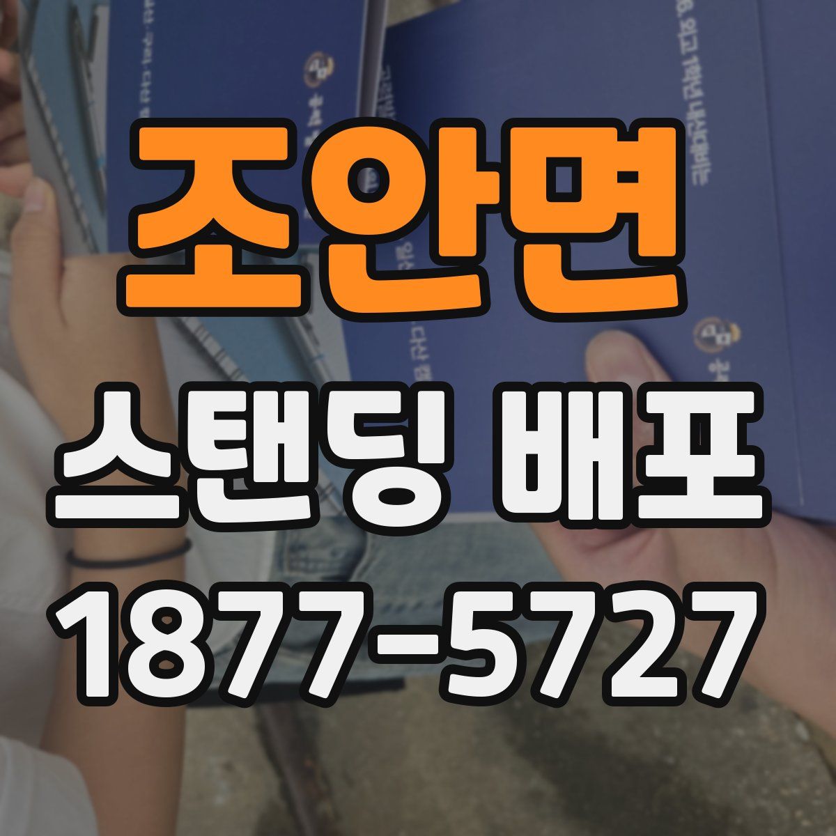 조안면 스탠딩 배포