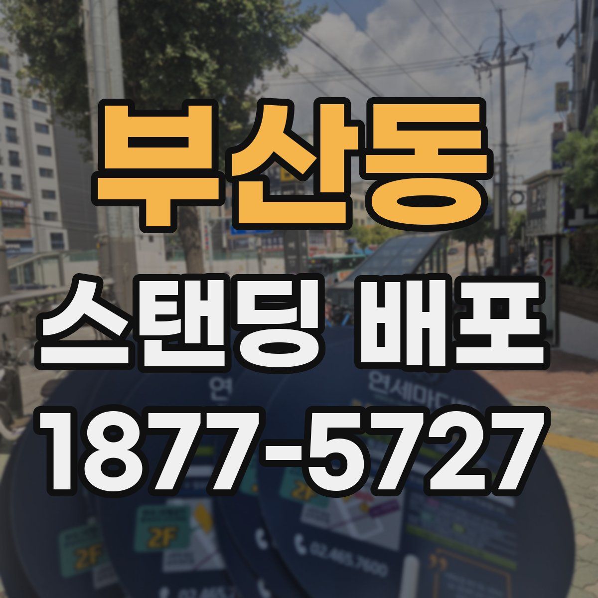 부산동 스탠딩 배포