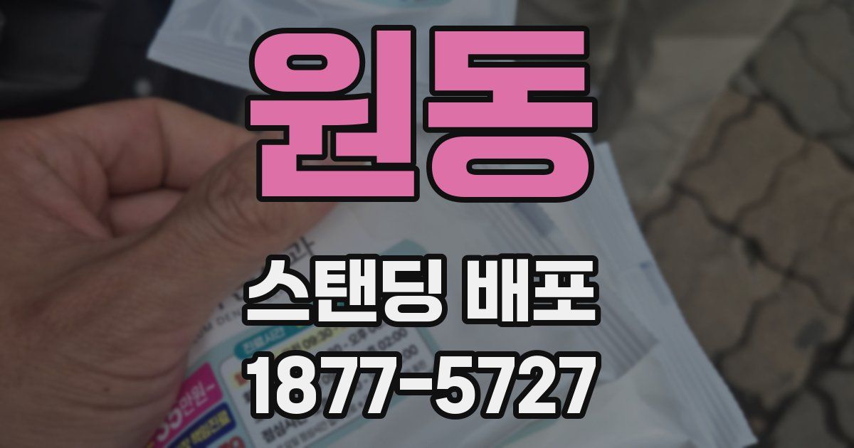 원동 스탠딩 배포
