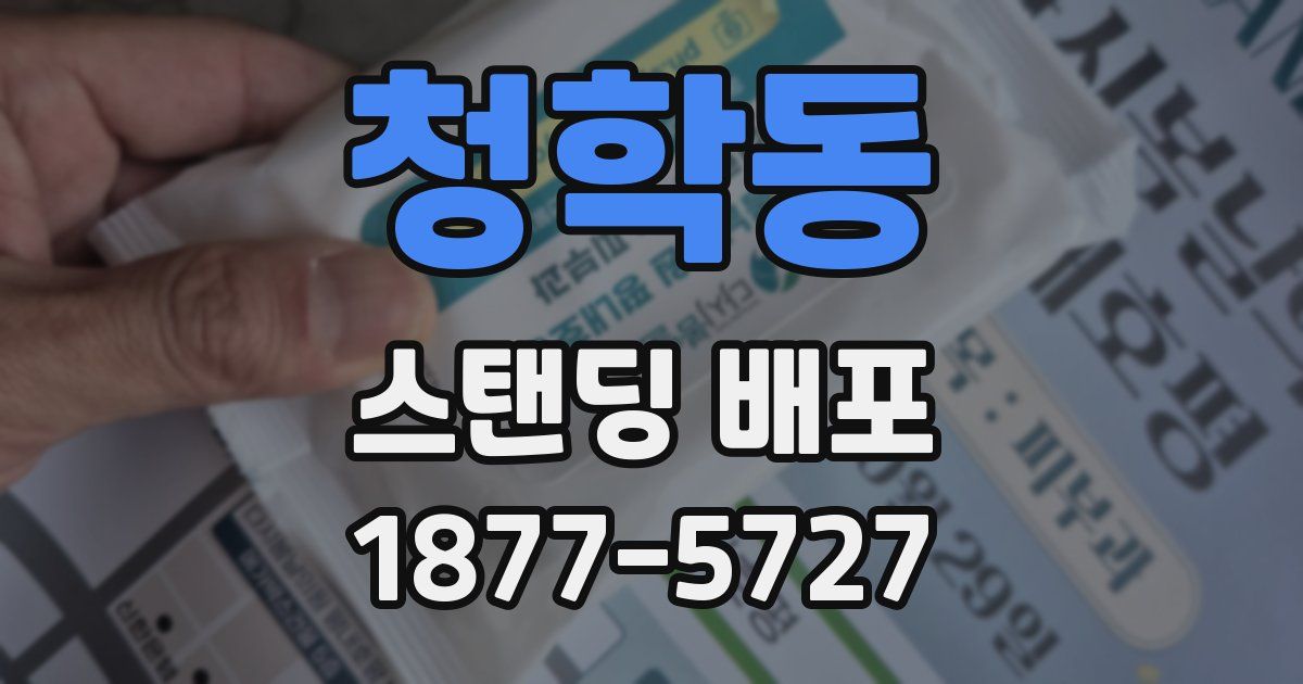 청학동 스탠딩 배포