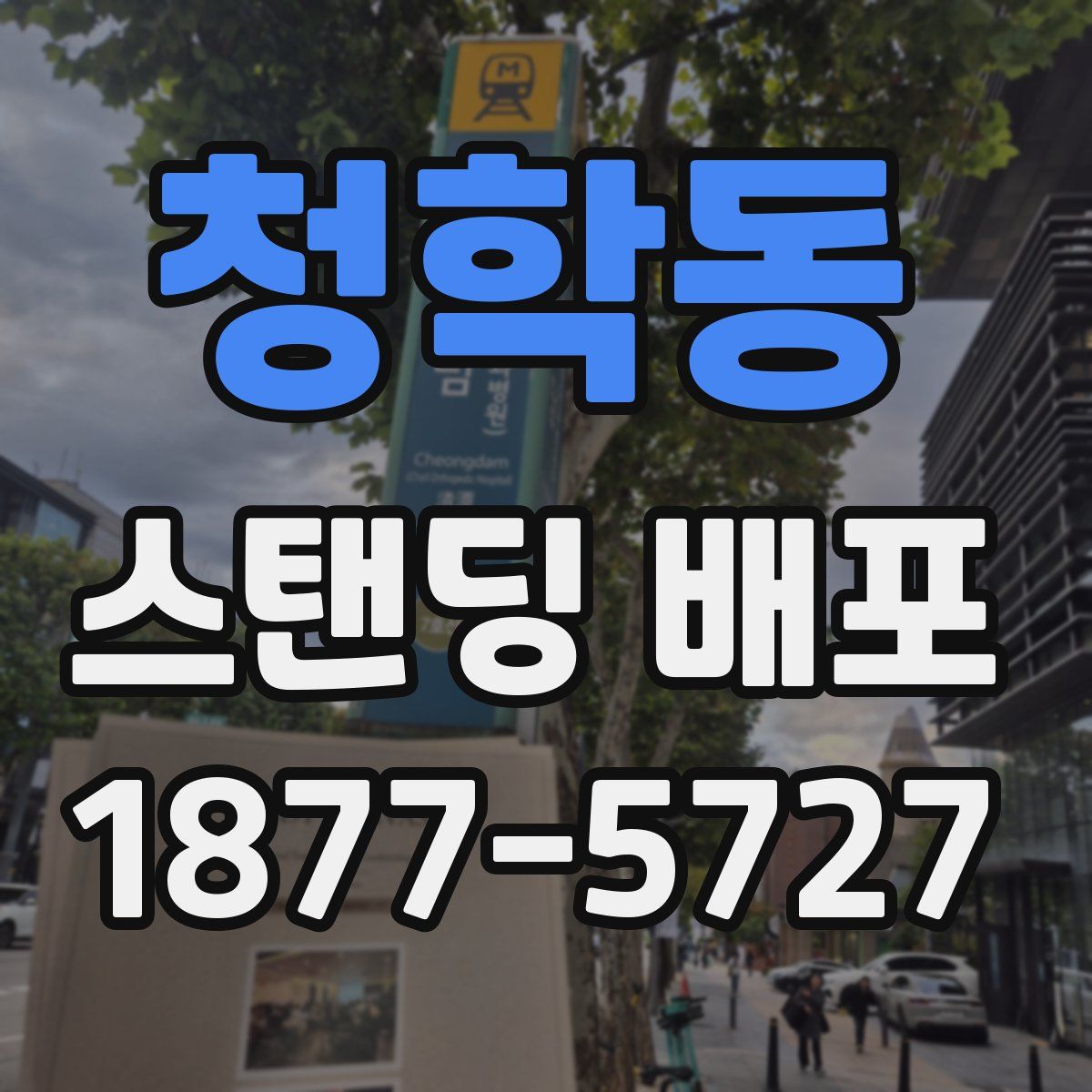 청학동 스탠딩 배포