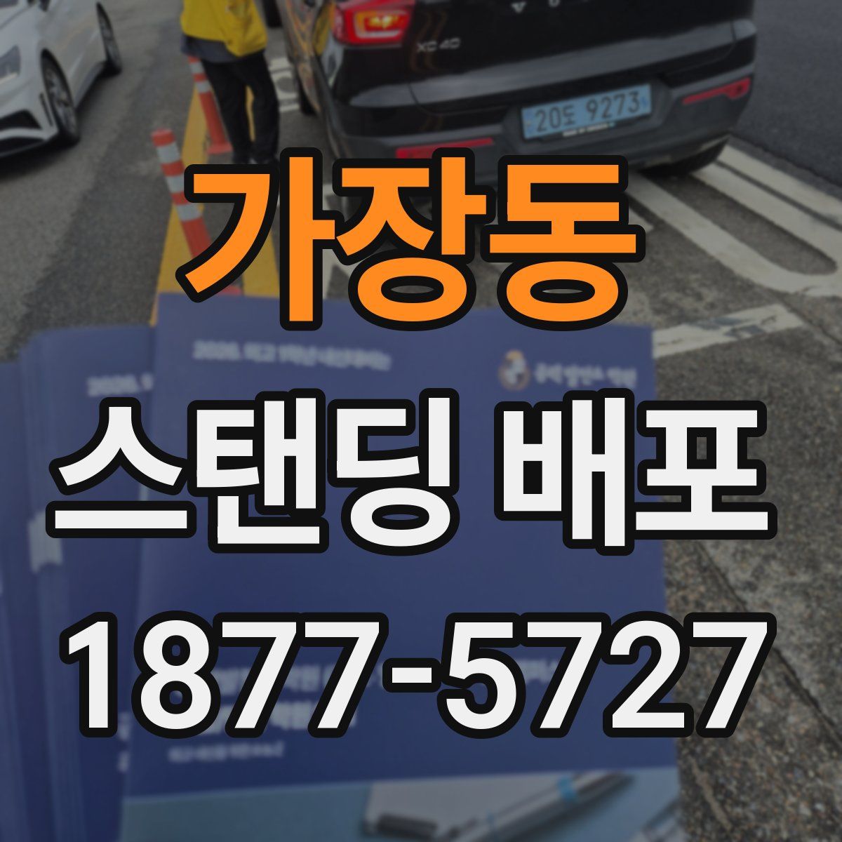 가장동 스탠딩 배포