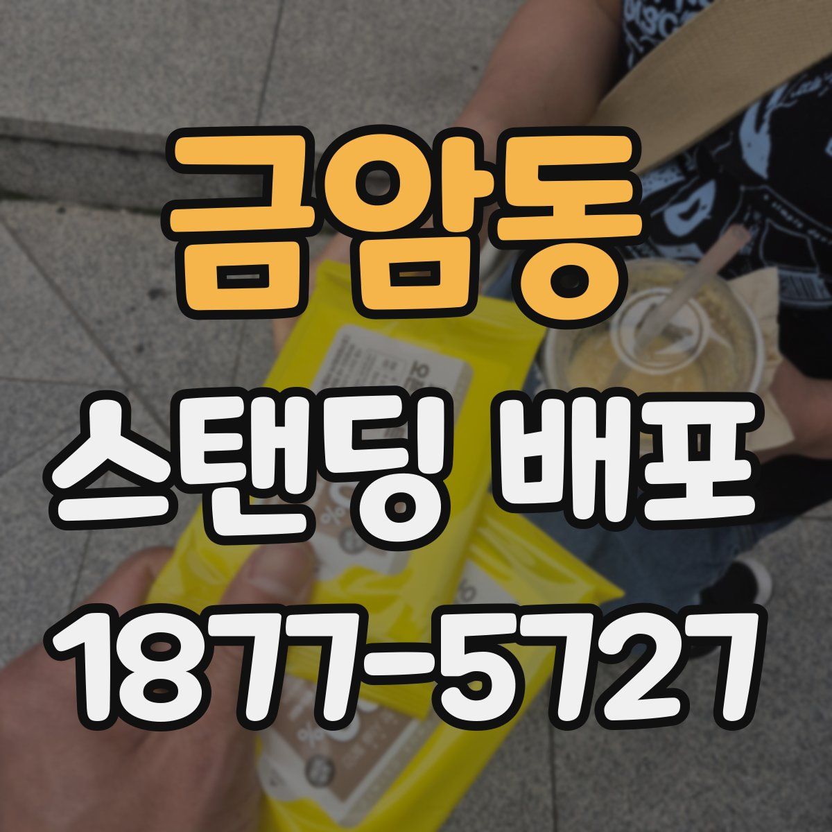 금암동 스탠딩 배포