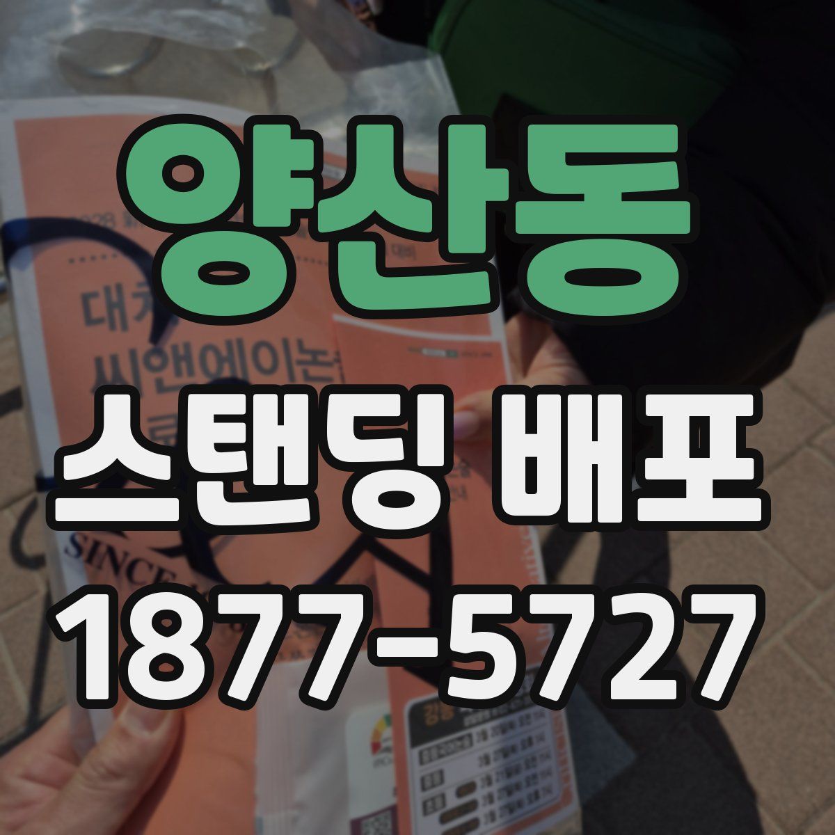 양산동 스탠딩 배포
