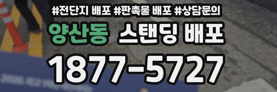 양산동 스탠딩 배포