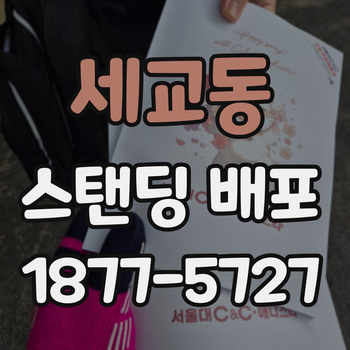 세교동 스탠딩 배포