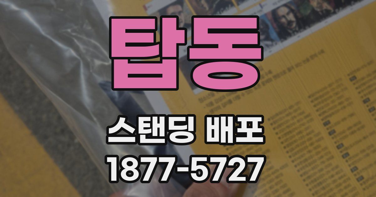 탑동 스탠딩 배포