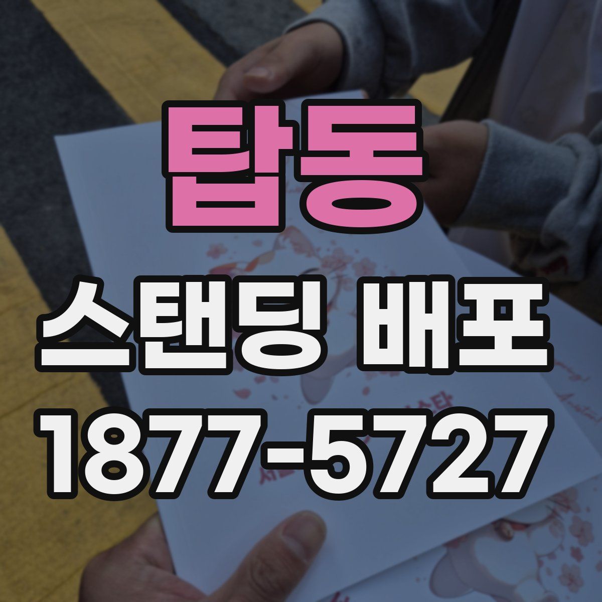 탑동 스탠딩 배포
