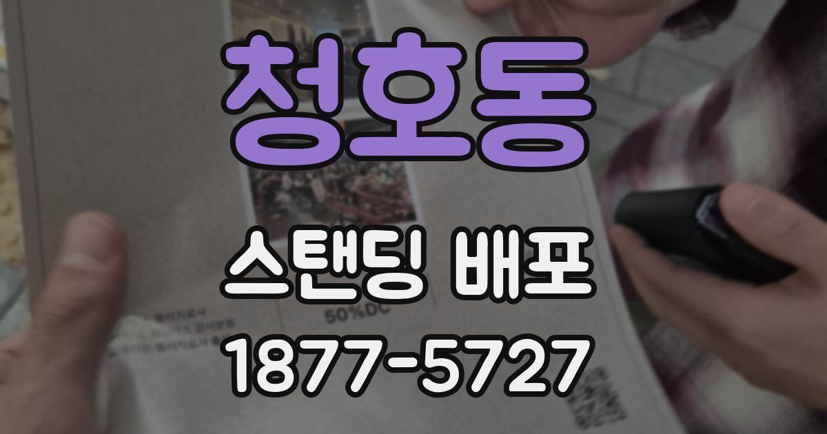 청호동 스탠딩 배포