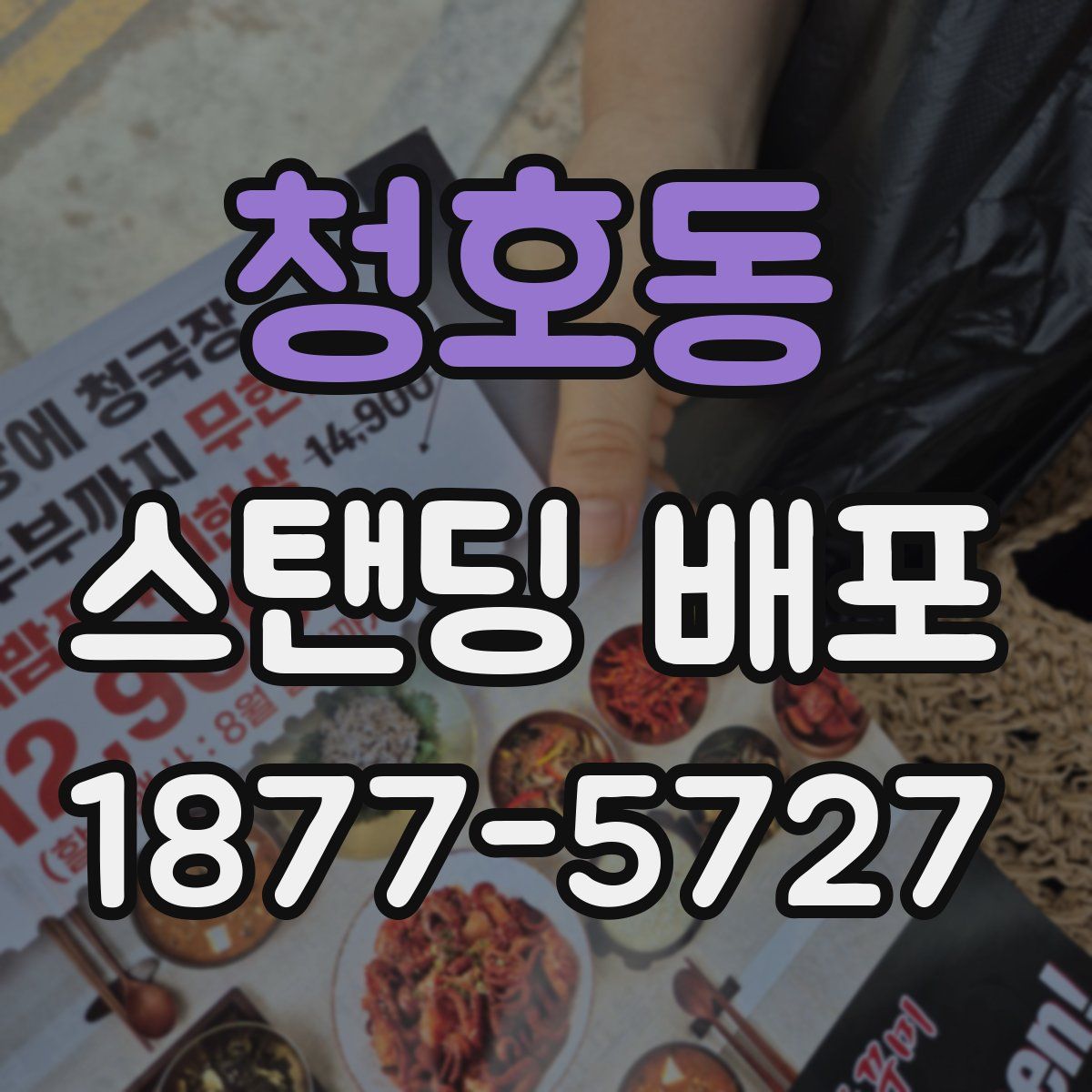 청호동 스탠딩 배포