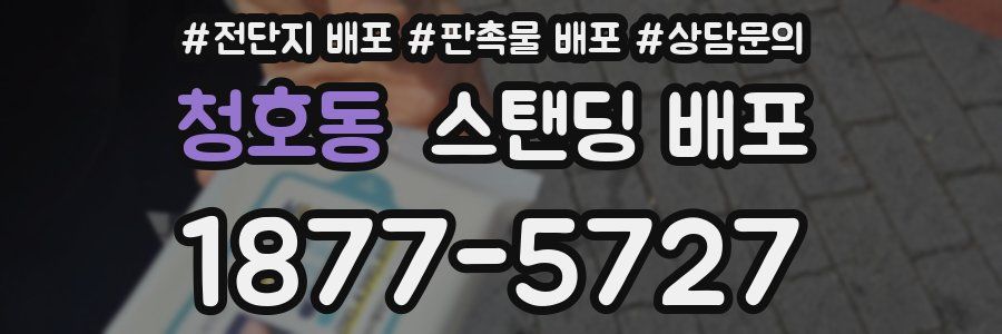청호동 스탠딩 배포