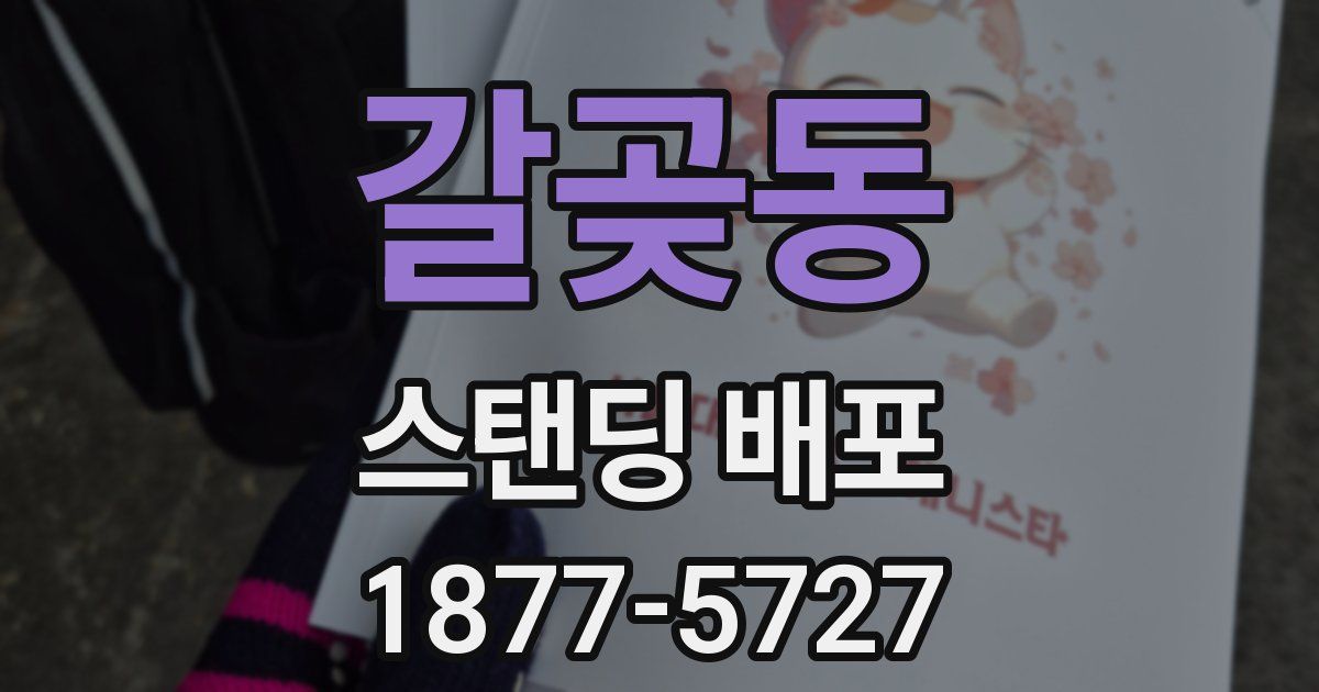 갈곶동 스탠딩 배포