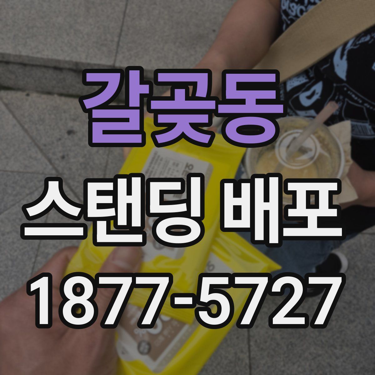 갈곶동 스탠딩 배포