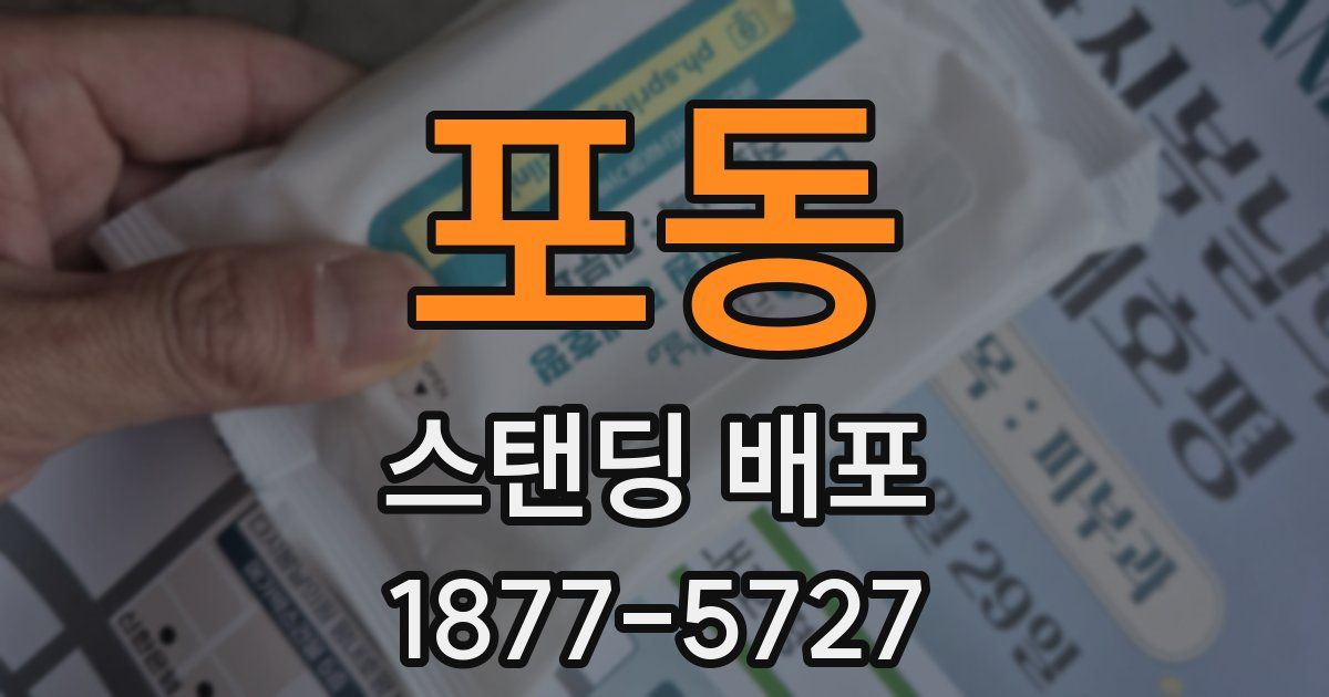 포동 스탠딩 배포