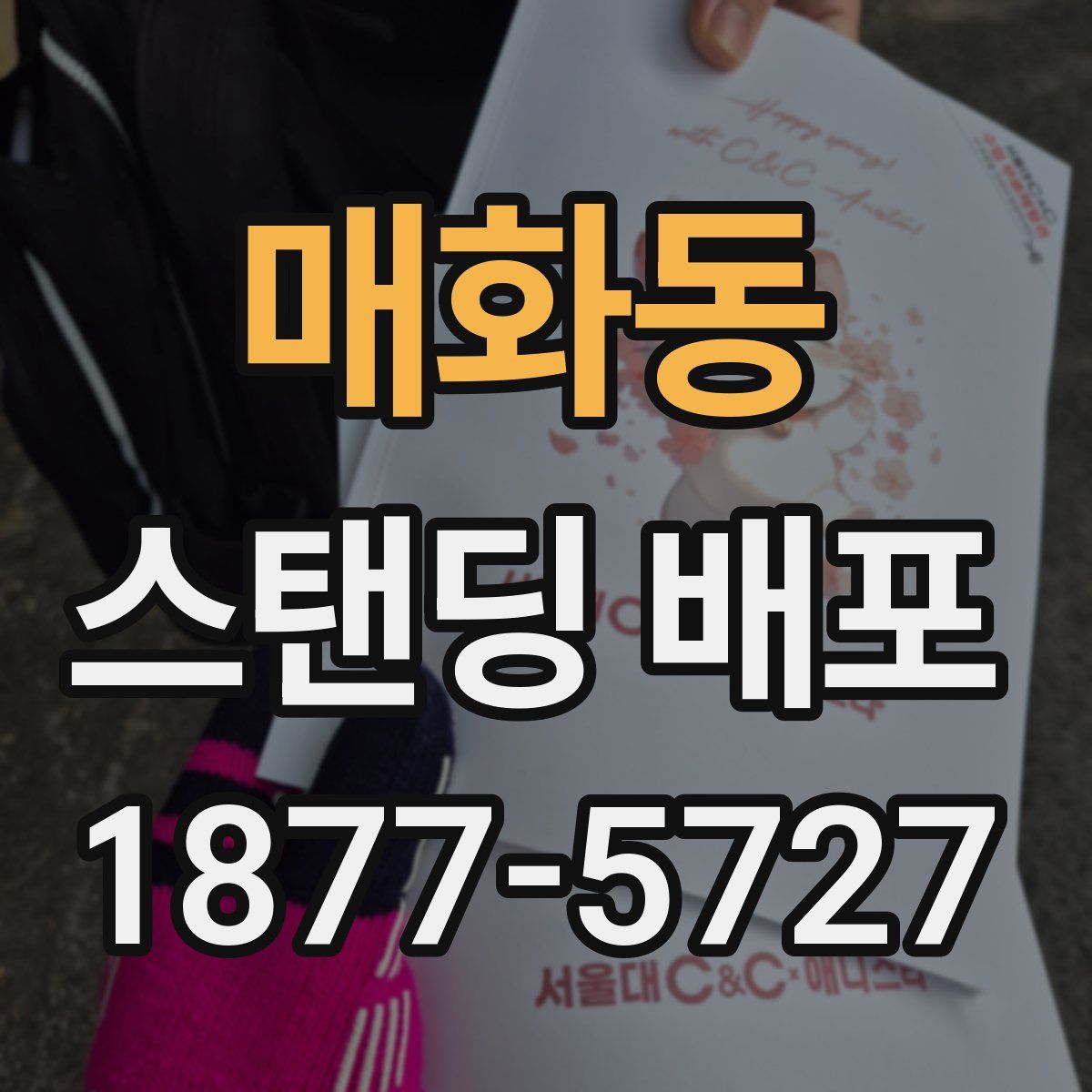 매화동 스탠딩 배포