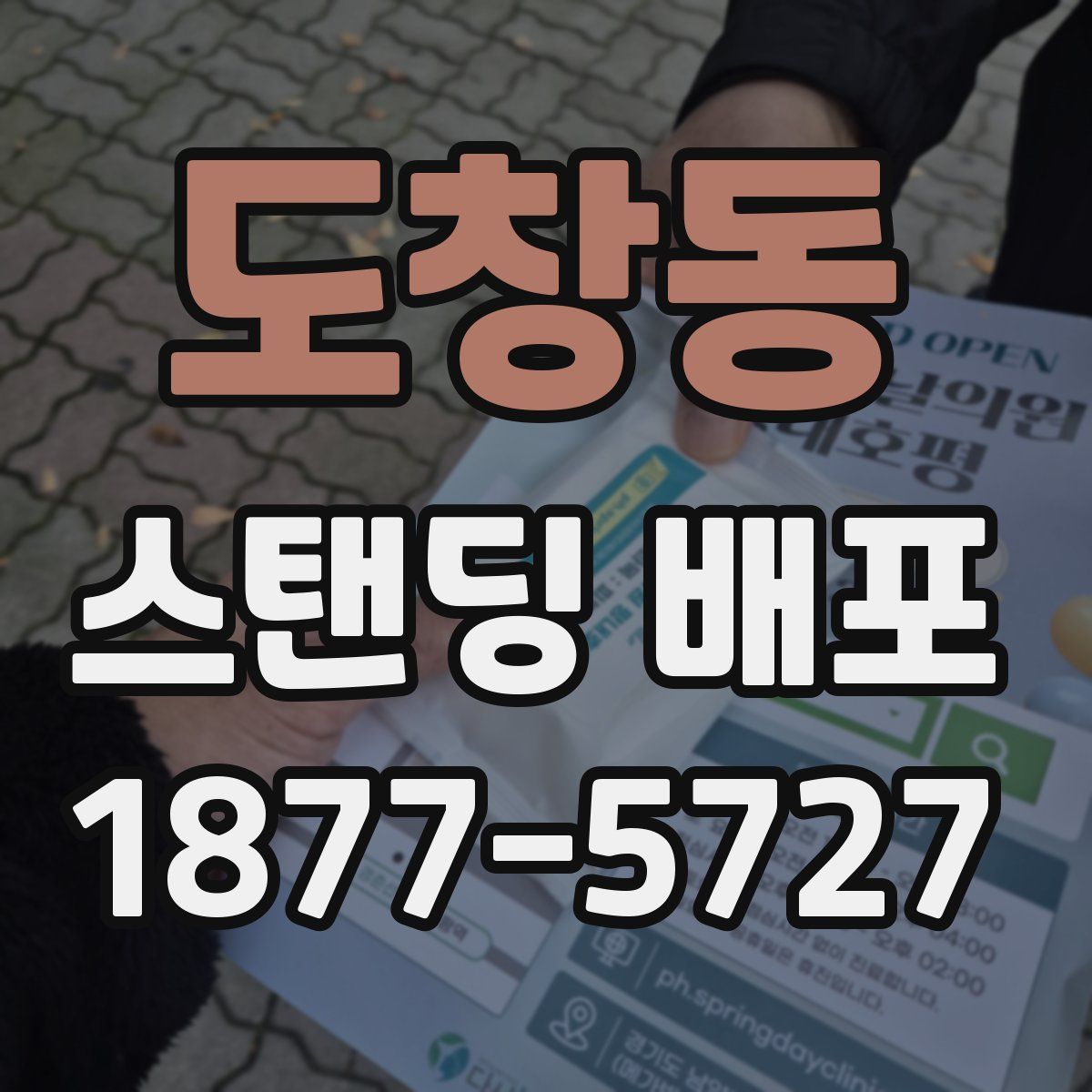 도창동 스탠딩 배포
