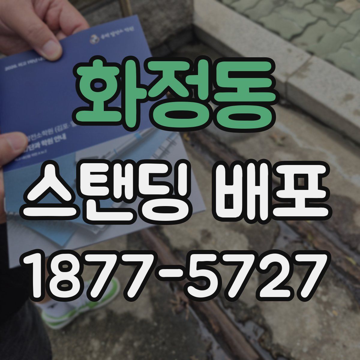화정동 스탠딩 배포