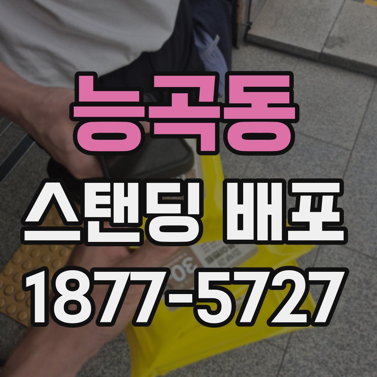 능곡동 스탠딩 배포