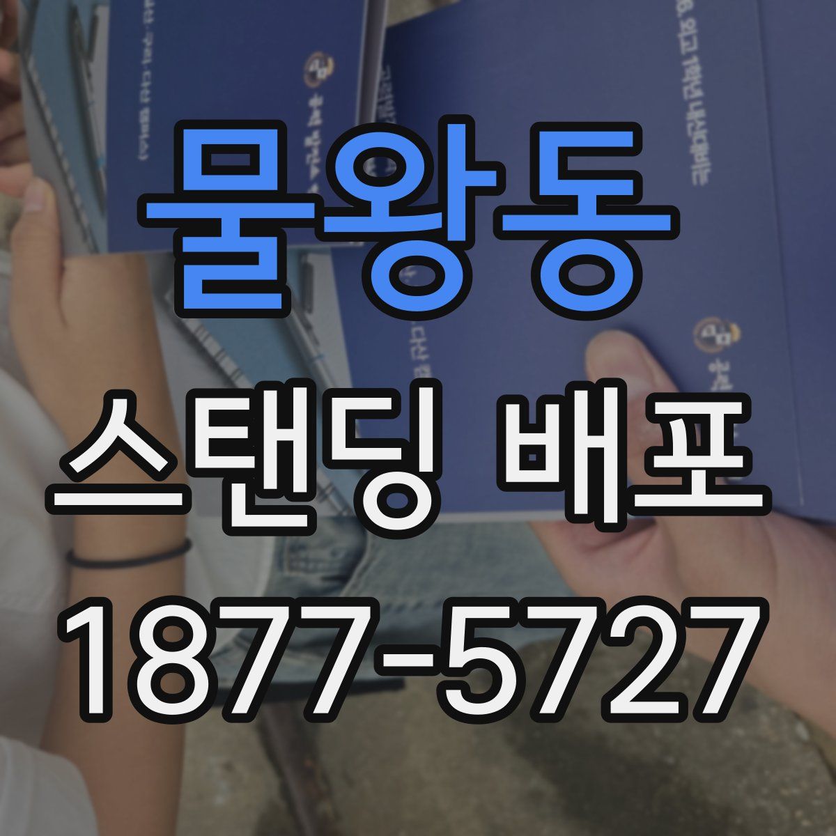 물왕동 스탠딩 배포
