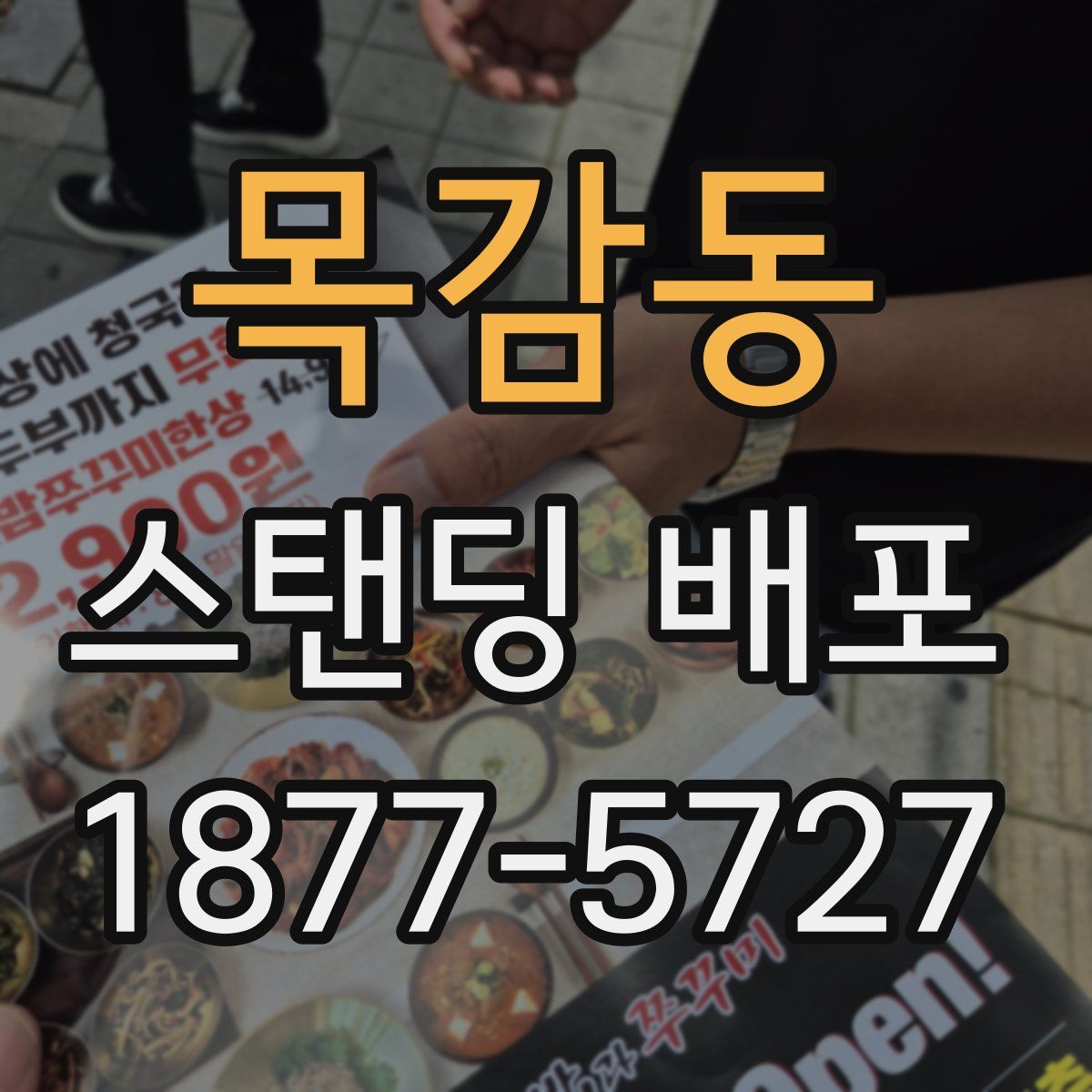 목감동 스탠딩 배포