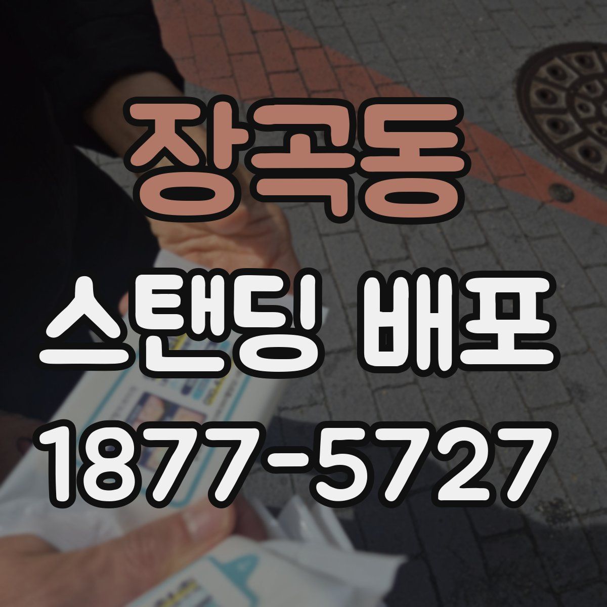 장곡동 스탠딩 배포
