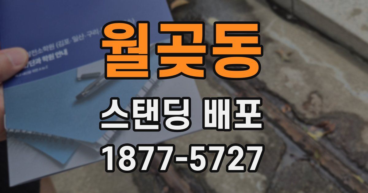 월곶동 스탠딩 배포