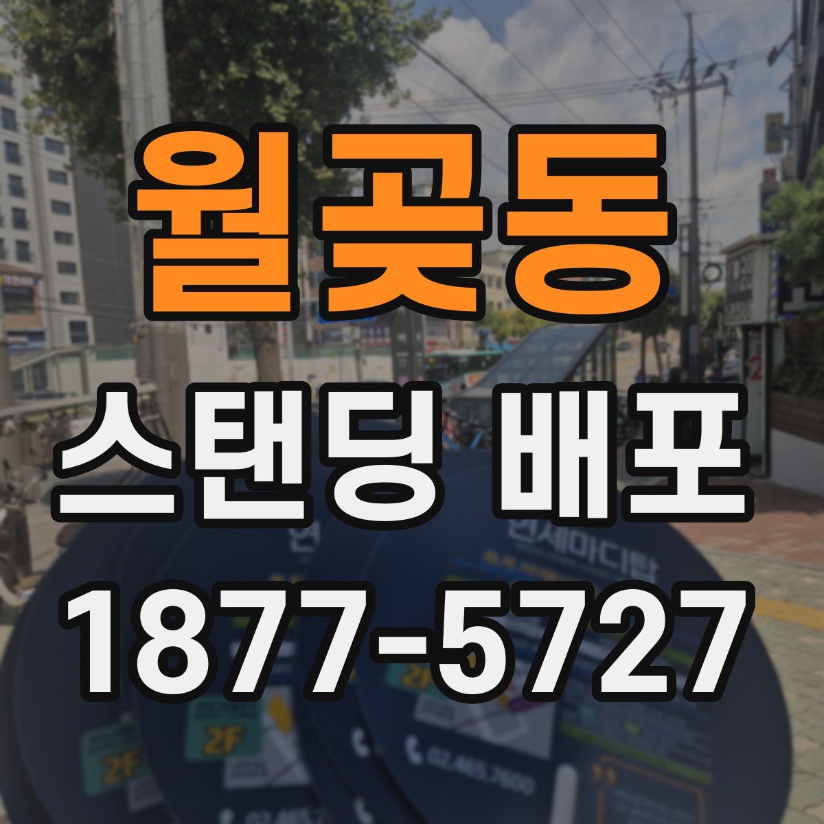 월곶동 스탠딩 배포