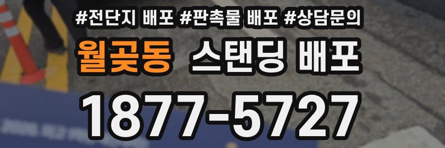 월곶동 스탠딩 배포