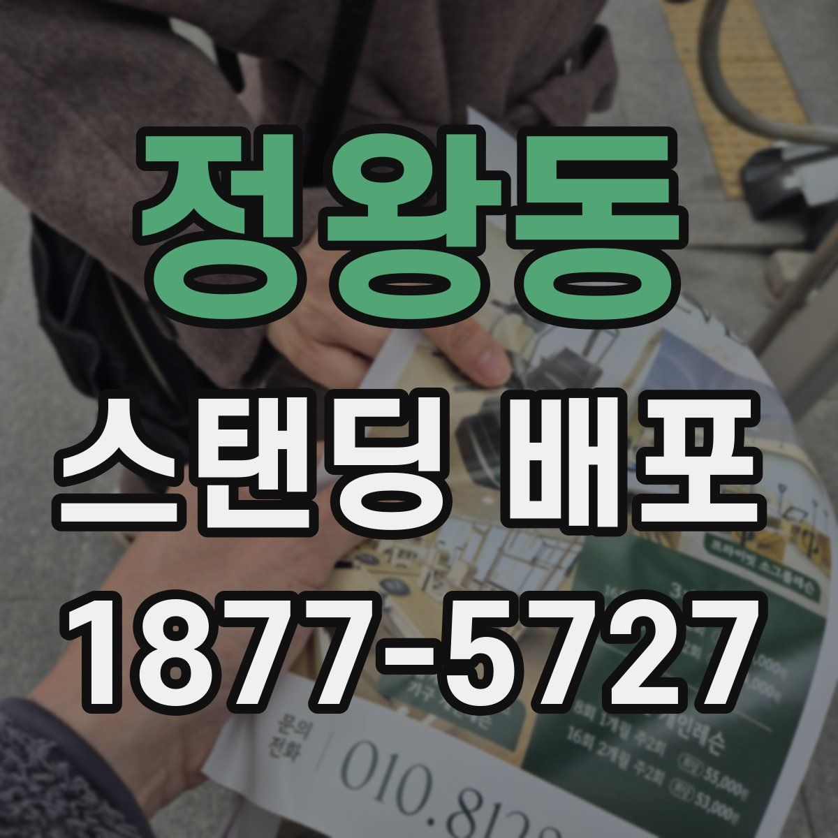 정왕동 스탠딩 배포