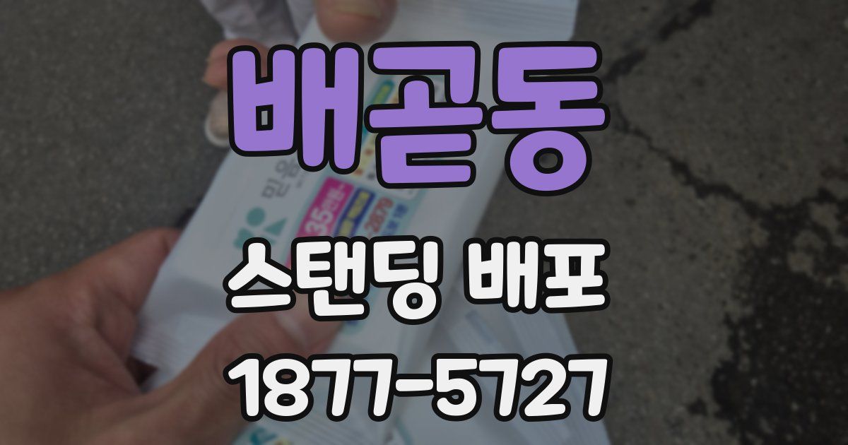 배곧동 스탠딩 배포